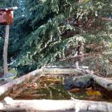 photo 2023-10-16 09-55-39