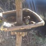 photo 2019-02-15 11-24-26