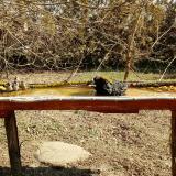 photo 2021-03-11 10-35-50