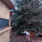 photo 2022-01-03 07-46-39