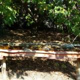 photo 2021-10-02 11-46-47