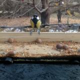 photo 2021-11-10 11-07-44