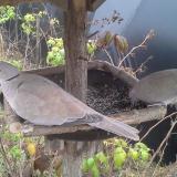 photo 2019-12-12 10-34-49