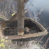 photo 2019-12-27 10-50-42