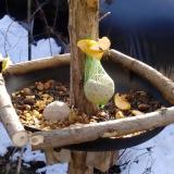 photo 2019-01-14 10-56-26