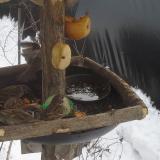 photo 2019-01-27 12-49-10