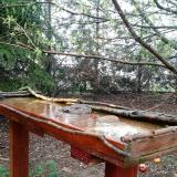 photo 2022-03-31 11-32-29