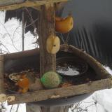 photo 2019-01-27 13-17-15