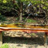 photo 2021-04-21 12-43-58