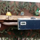 photo 2021-02-06 11-50-55