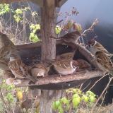 photo 2019-12-12 12-55-05