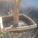 photo 2019-12-24 09-57-43