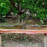 photo 2021-05-16 14-59-06