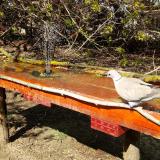 photo 2021-04-08 15-07-26