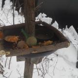 photo 2019-01-23 13-21-27