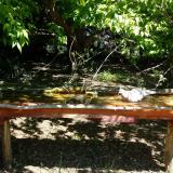 photo 2021-05-10 10-31-34