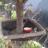 photo 2019-12-06 11-41-32