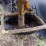 photo 2019-02-08 13-46-29