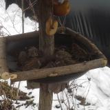 photo 2019-01-30 14-16-01