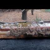 photo 2021-11-28 12-40-15