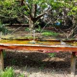 photo 2021-04-22 16-08-10