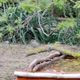 photo 2021-04-12 17-34-41poszata