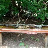 photo 2021-07-26 13-32-58