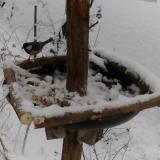 photo 2019-01-05 13-06-11