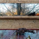 photo 2022-01-22 15-42-29