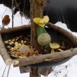 photo 2019-01-12 13-31-42