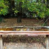 photo 2021-10-08 12-12-12