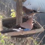 photo 2019-12-22 11-30-24