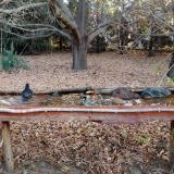 photo 2021-10-26 07-55-03