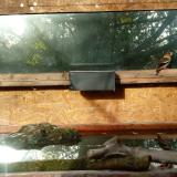 photo 2023-10-24 08-52-54