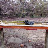 photo 2021-03-15 06-39-57