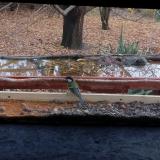 photo 2021-11-08 14-36-14