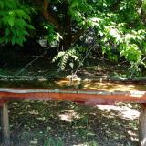 photo 2021-05-21 10-28-38