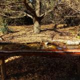 photo 2021-10-25 14-34-17