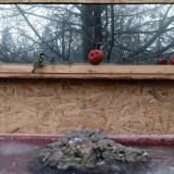 photo 2022-01-16 08-13-17