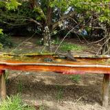 photo 2021-04-25 11-32-42