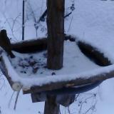 photo 2019-01-08 15-53-45