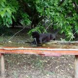 photo 2021-05-24 12-19-33