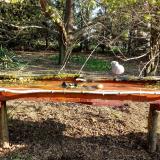 photo 2021-04-10 08-31-32