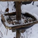 photo 2019-01-06 10-21-17