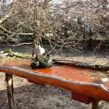 photo 2021-03-21 08-16-44