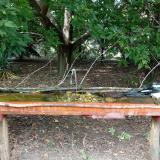 photo 2021-08-23 15-09-27