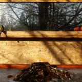 photo 2022-01-19 09-33-59