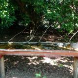 photo 2021-08-09 11-03-29