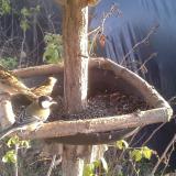 photo 2019-12-16 14-15-51