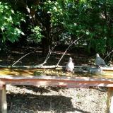 photo 2021-09-13 09-34-57